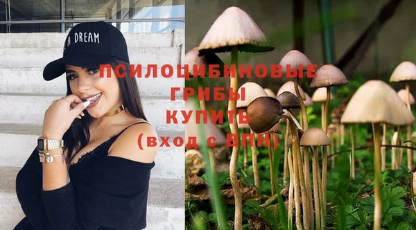 ешки Володарск
