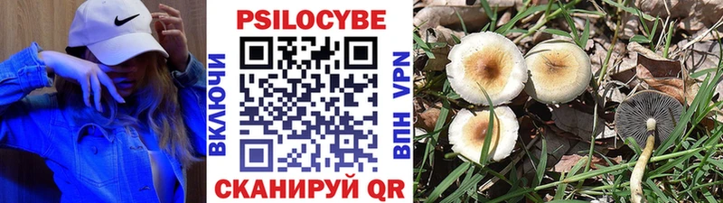 Псилоцибиновые грибы прущие грибы  Нестеровская 